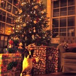OH Christmas Tree! OH Christmas Tree!
