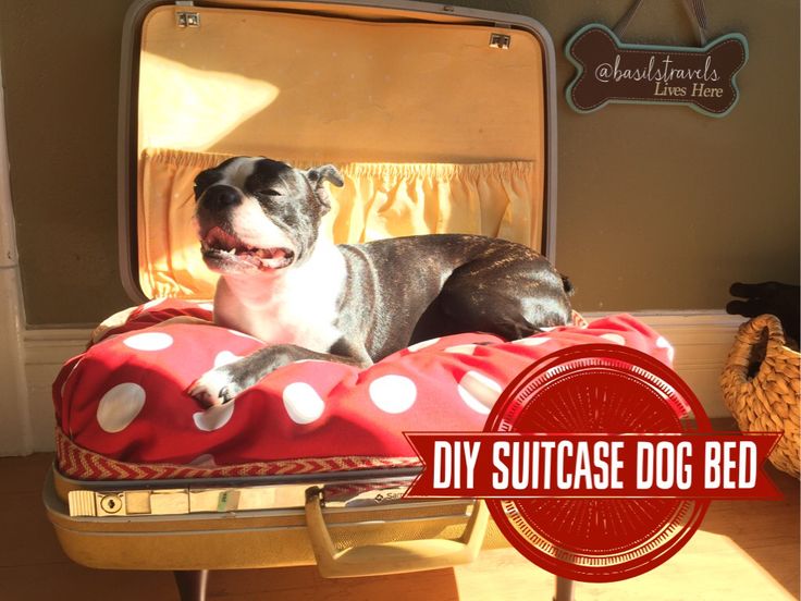 DIY Vintage Suitcase Dog Bed