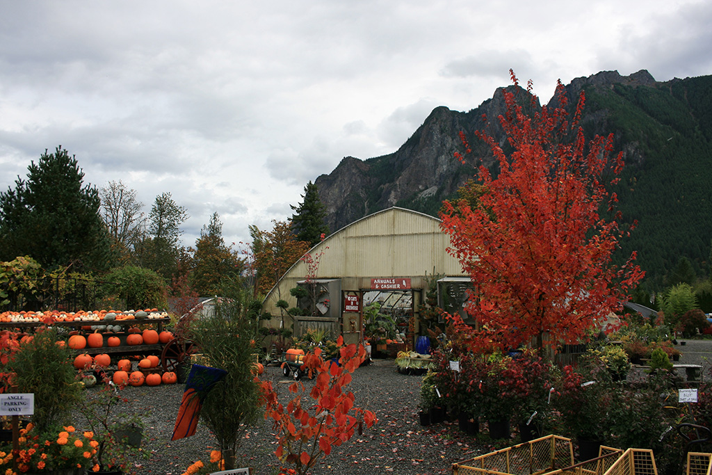 The Nursery at Mount Si